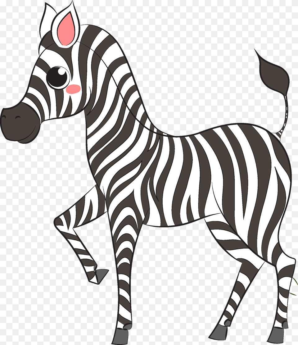 Zebra Clipart, Animal, Mammal, Wildlife Free Png