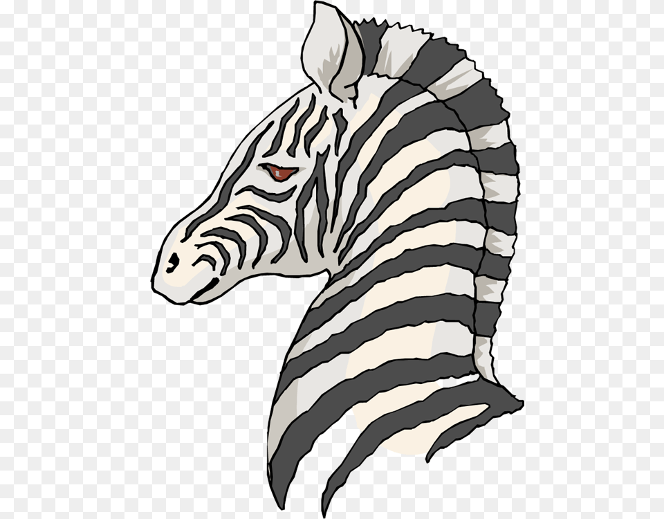 Zebra Clipart, Baby, Person, Animal, Mammal Free Png Download