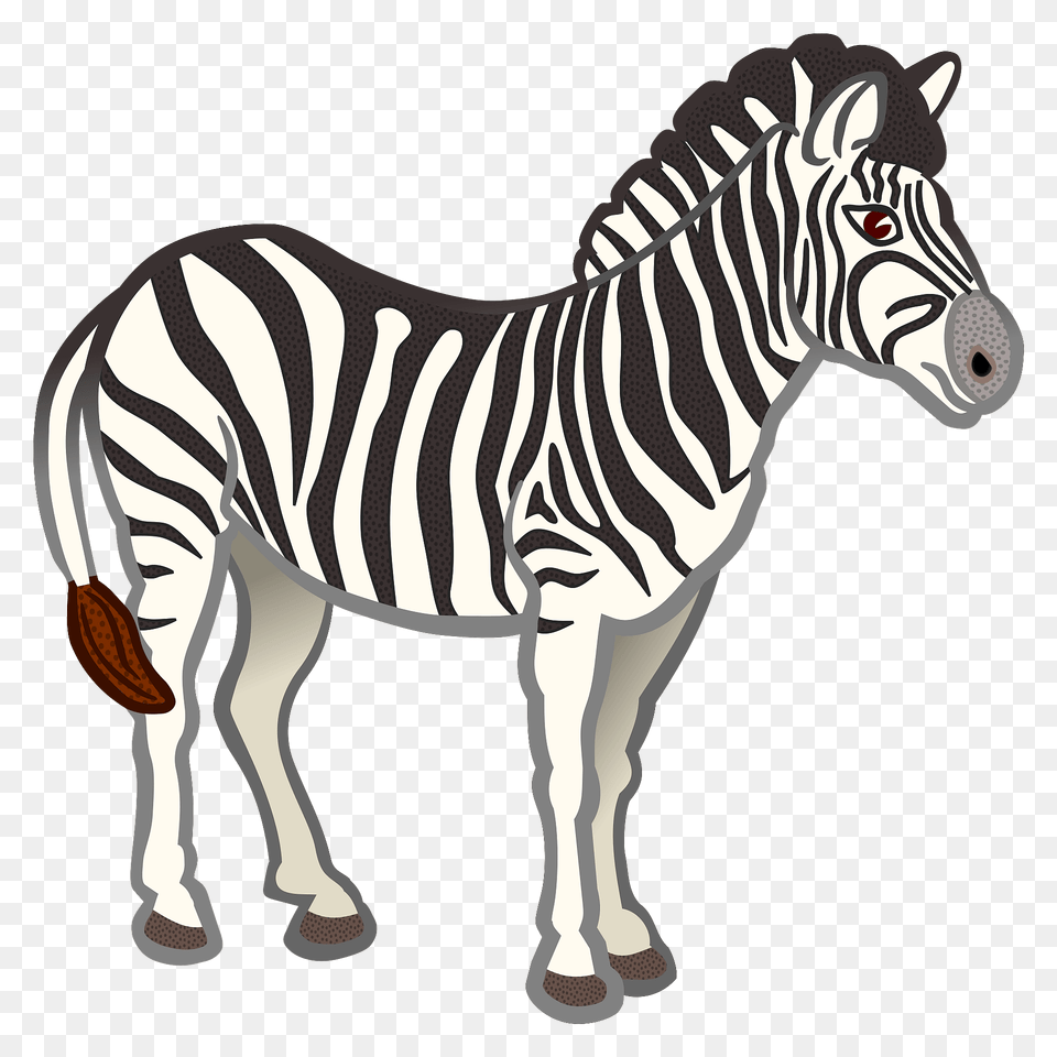 Zebra Clipart, Animal, Mammal, Wildlife Free Png Download
