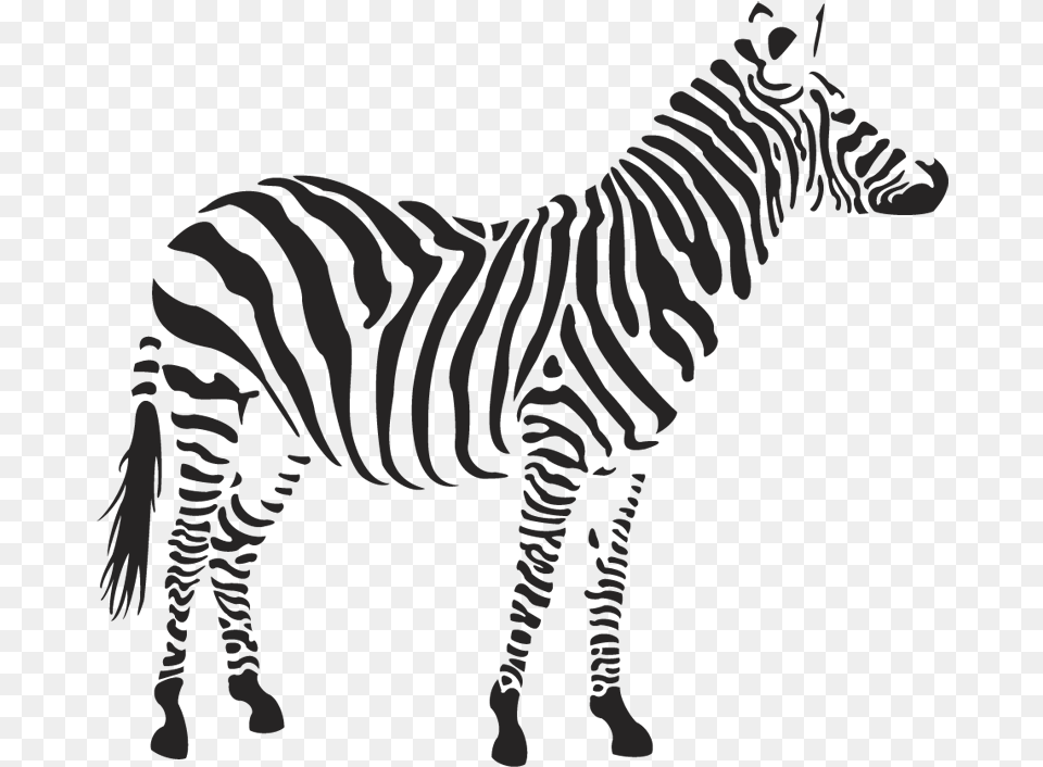 Zebra Clipart 4 Zebra Stencil, Animal, Mammal, Wildlife Png Image