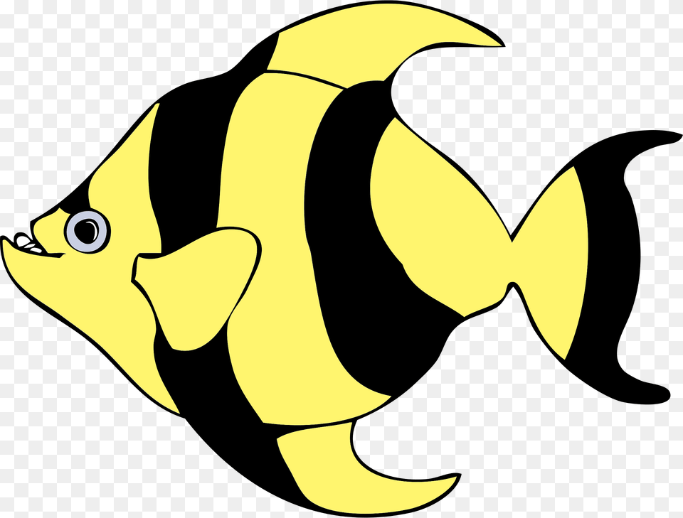 Zebra Clipart, Angelfish, Animal, Fish, Sea Life Free Png