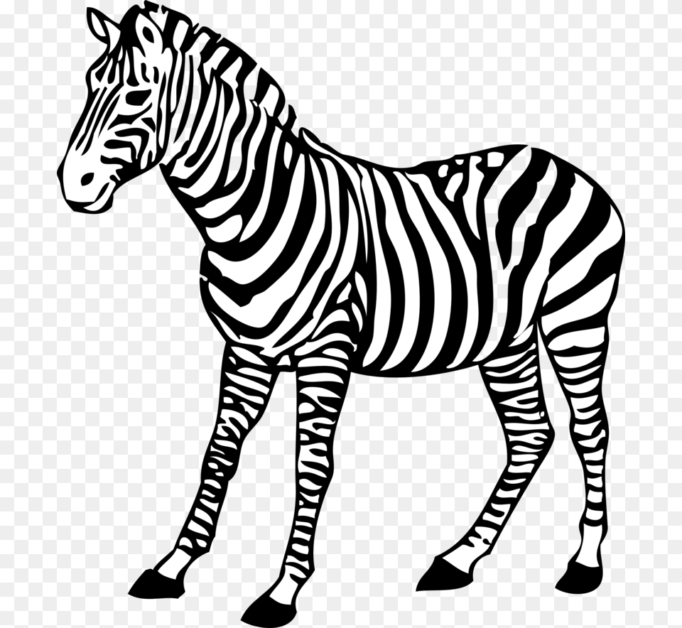 Zebra Clipart Black And White, Animal, Mammal, Wildlife Free Png