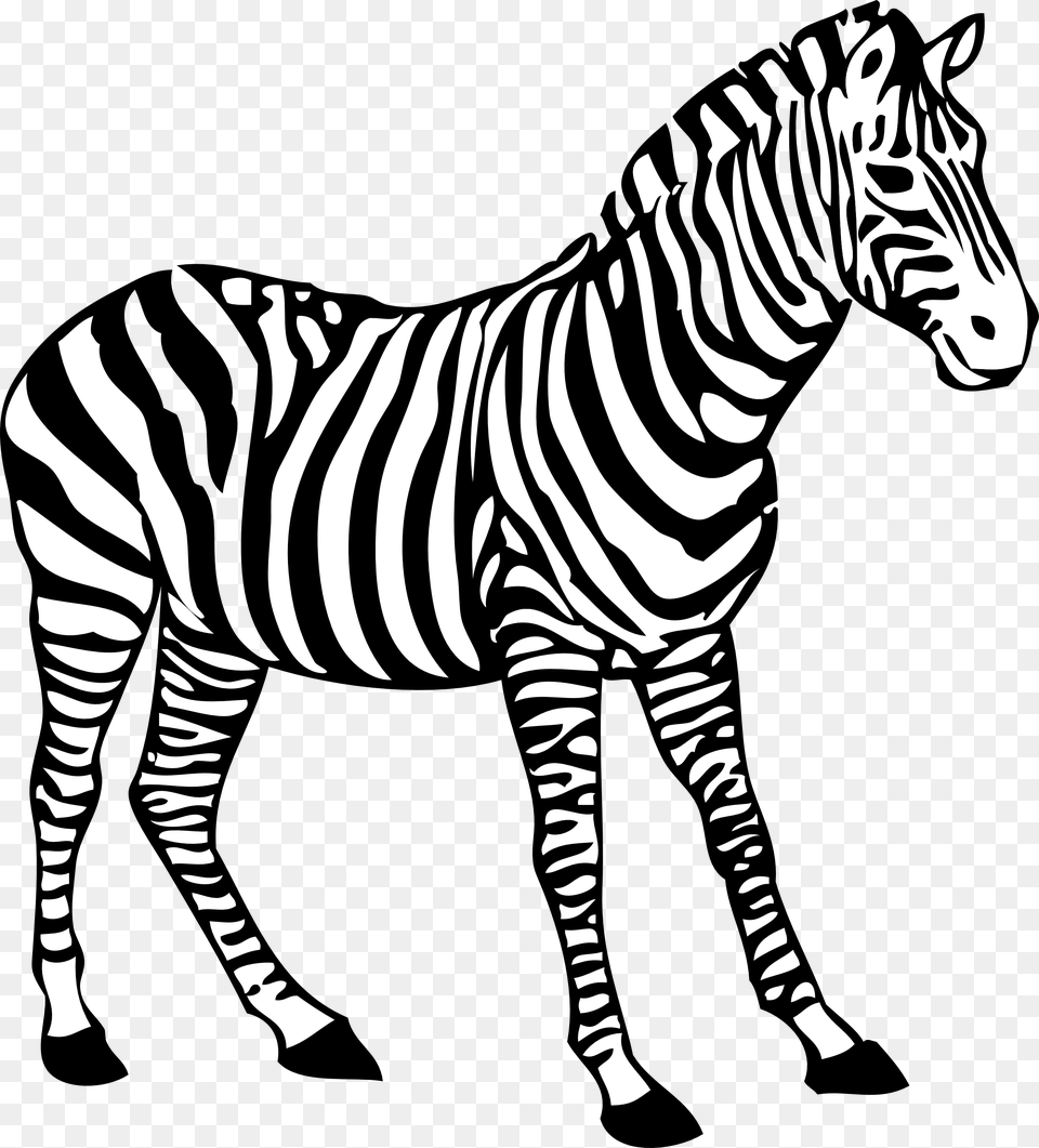 Zebra Clipart Black And White Colouring Picture Of Zebra, Animal, Mammal, Wildlife Png Image