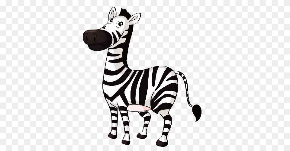 Zebra Clipart Full Hd, Animal, Mammal, Wildlife Free Png