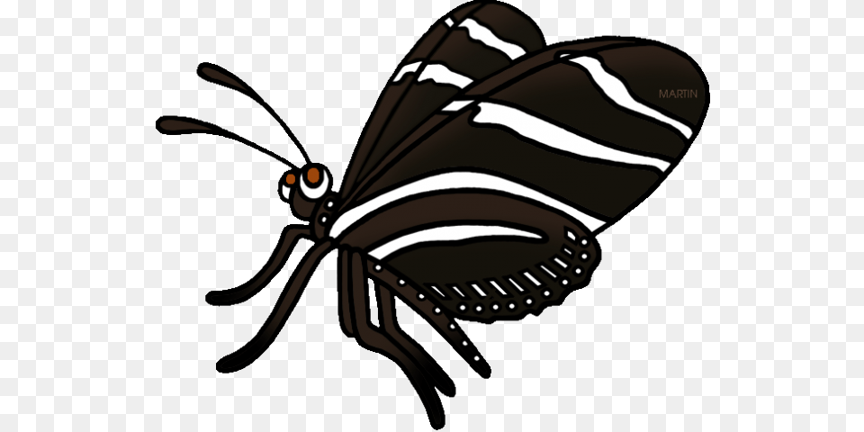 Zebra Clipart Phillip Martin, Animal, Butterfly, Insect, Invertebrate Free Transparent Png