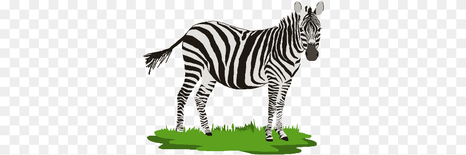 Zebra Clipart Zebra Clip Art, Animal, Mammal, Wildlife Png Image