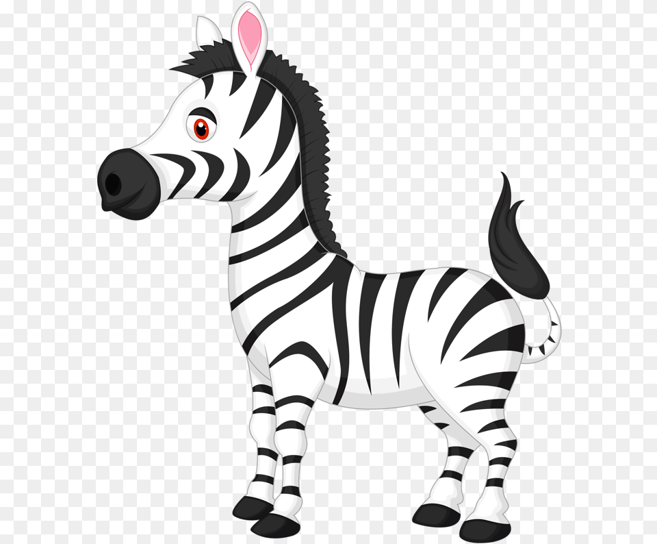 Zebra Color Frame Vector Zebra Cartoon, Animal, Mammal, Wildlife Png