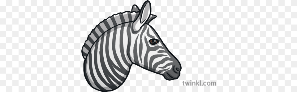 Zebra Emoji Animals Nature Twinkl Zebra Print, Animal, Mammal, Wildlife Free Transparent Png