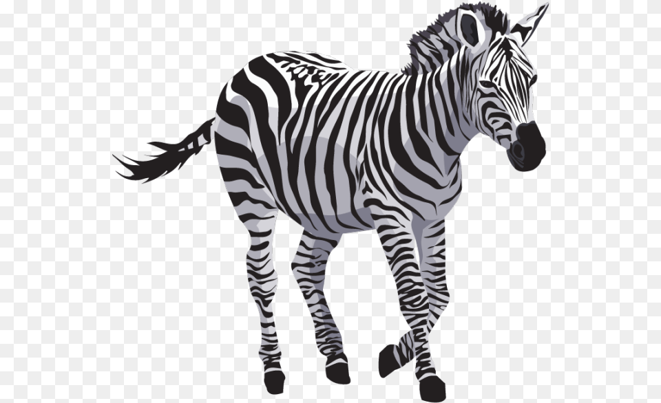 Zebra File Zebra Transparent, Animal, Mammal, Wildlife Free Png Download