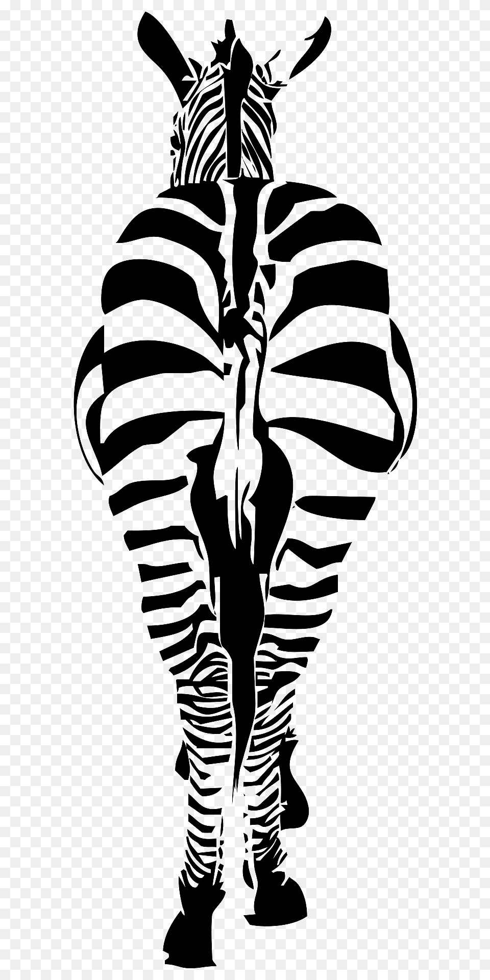 Zebra From A Rear Clipart, Stencil, Animal, Person, Wildlife Png Image