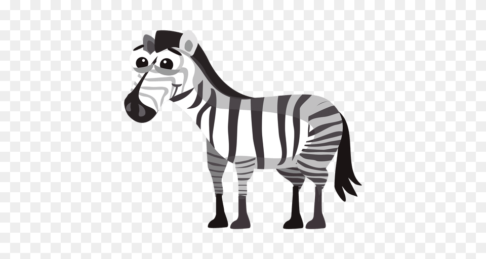 Zebra Funny Cartoon, Animal, Mammal, Wildlife, Clothing Free Png Download