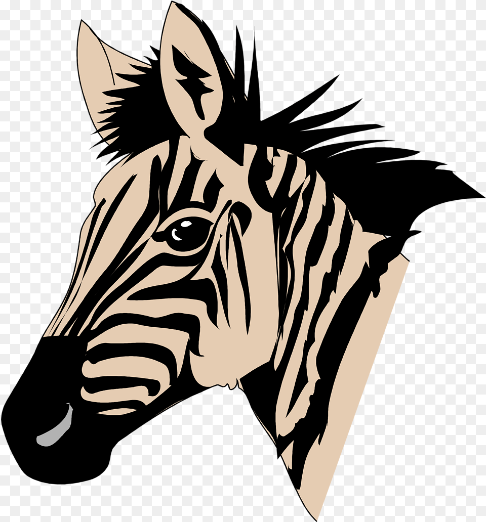 Zebra Head Image Easy Cartoon Zebra Head, Adult, Woman, Person, Female Png