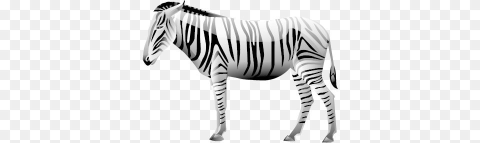 Zebra Image Animal Icons, Mammal, Wildlife Free Transparent Png