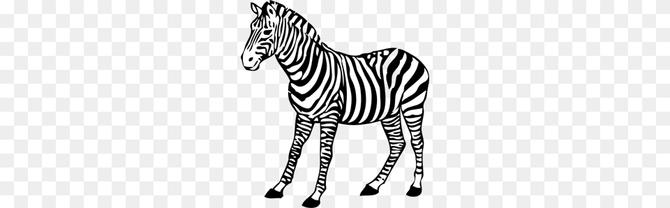 Zebra Images Icon Cliparts, Animal, Mammal, Wildlife Free Png