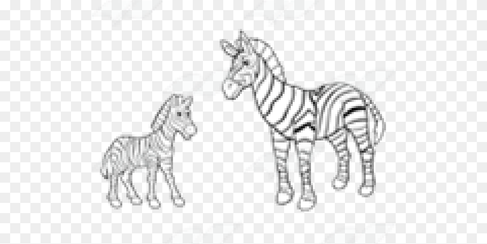 Zebra Mom And Baby Clipart, Animal, Wildlife, Mammal Free Transparent Png