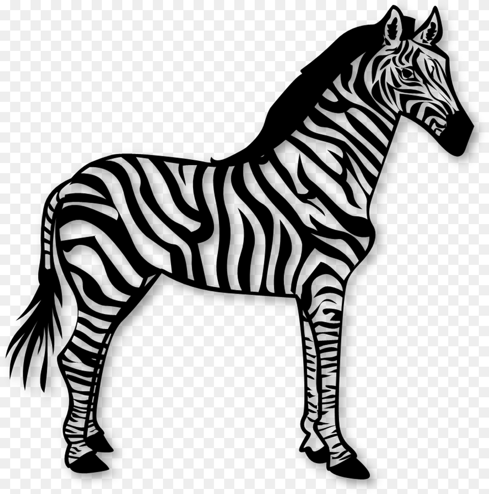 Zebra Pattern Template Dare To Be Different, Gray Png