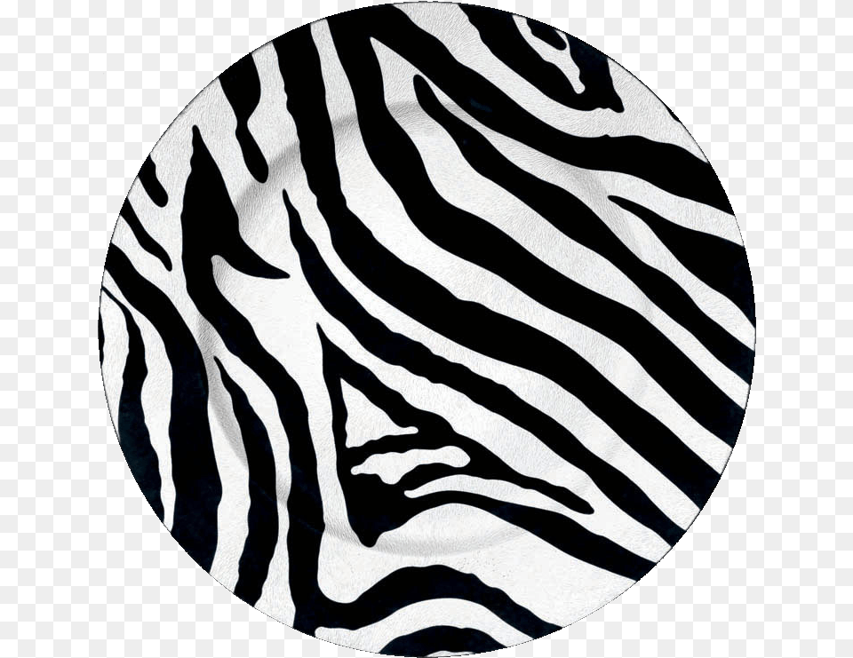 Zebra Print, Home Decor, Rug, Animal, Mammal Png