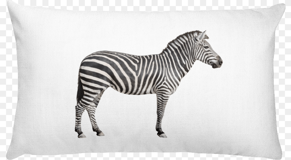 Zebra Print Rectangular Pillow Plains Zebra Side View, Animal, Cushion, Home Decor, Mammal Free Transparent Png