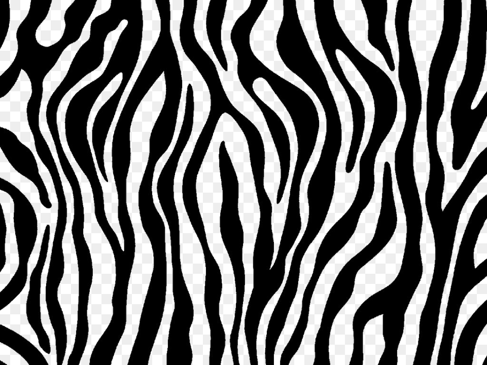 Zebra Print Transparent Images Zebra Print Coloring Pages, Pattern, Animal, Mammal, Wildlife Png