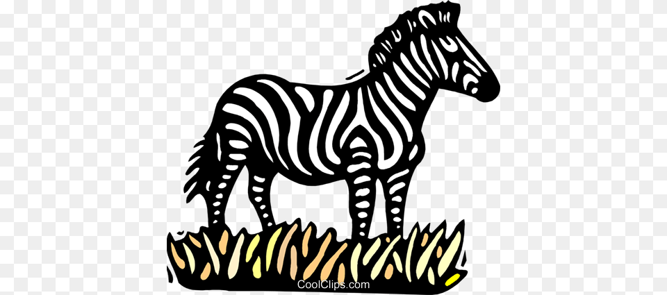 Zebra Royalty Vector Clip Art Illustration, Animal, Mammal, Wildlife Png Image