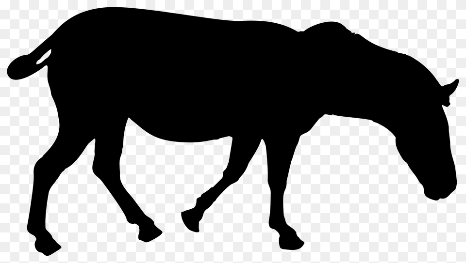 Zebra Silhouette, Animal, Mammal, Cattle, Cow Png Image