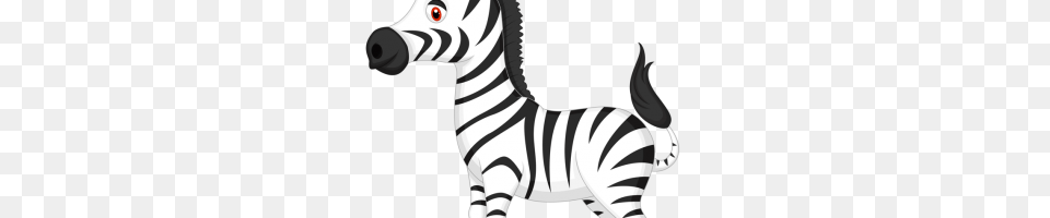 Zebra Stripes Image, Animal, Wildlife, Mammal, Baby Free Png Download