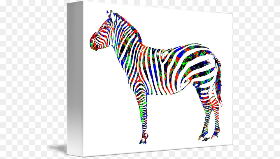 Zebra Study, Animal, Mammal, Wildlife, Art Free Png