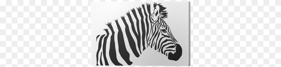 Zebra Vector Outline Silhouette Canvas Print Pixers Silueta De Una Cebra, Animal, Mammal, Wildlife, Stencil Png Image