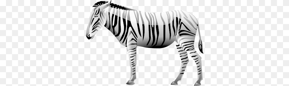 Zebra Zebra 3d, Animal, Mammal, Wildlife Free Png Download