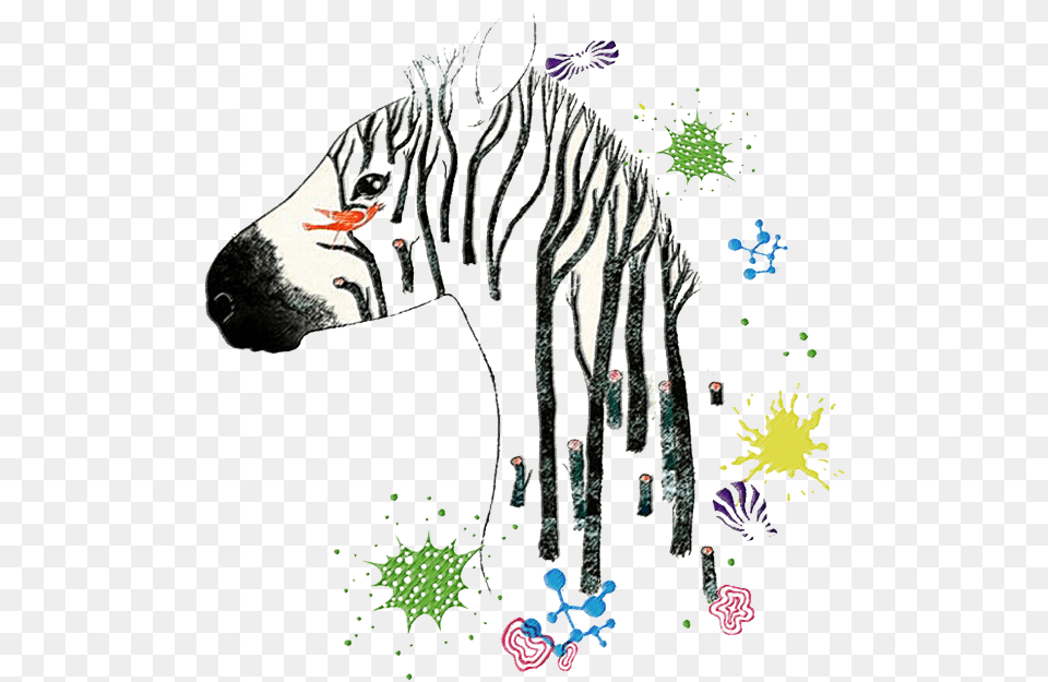 Zebra Zebraprint Zebrahead Zebrastyle Zebracross Illustration, Art, Animal, Mammal, Graphics Png