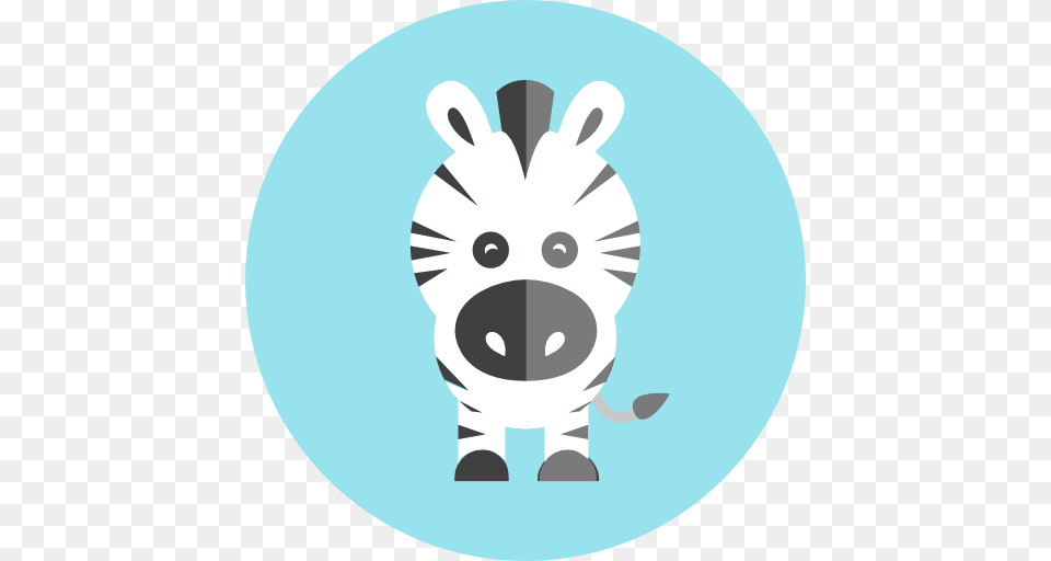 Zebra Zoo Wildlife Animal Kingdom Animals Icon, Mammal, Pig, Hog Free Png