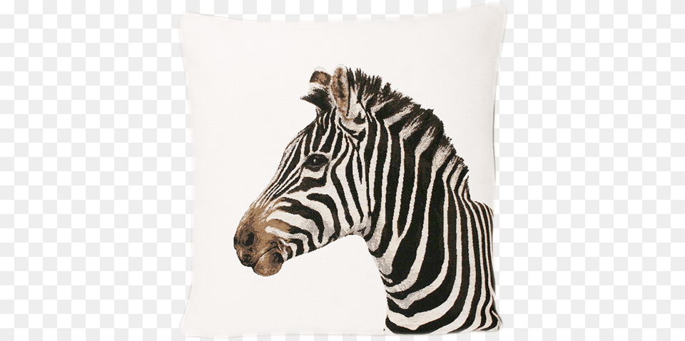 Zebraprofile Twin Zebra Velvet Piped Cushion Cover Lime 45 X, Animal, Mammal, Wildlife, Home Decor Png