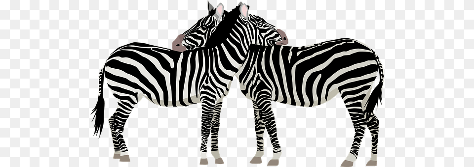 Zebras Animal, Mammal, Wildlife, Zebra Free Png Download