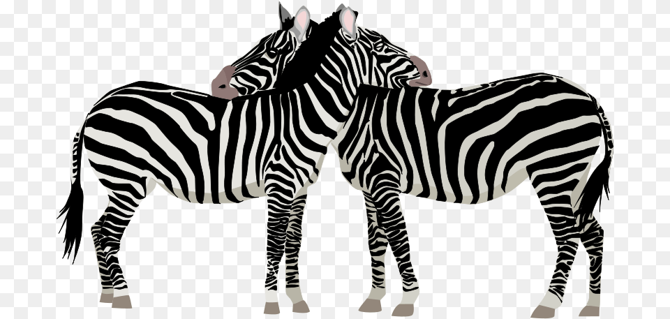 Zebras, Animal, Mammal, Wildlife, Zebra Free Png