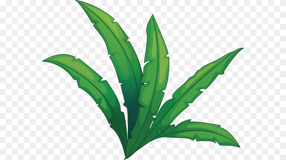 Zebugraphant, Leaf, Plant, Animal, Fish Free Png