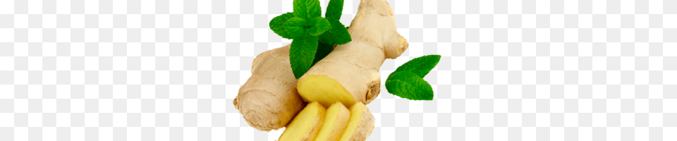 Zekrom Image, Herbs, Plant, Food, Ginger Png