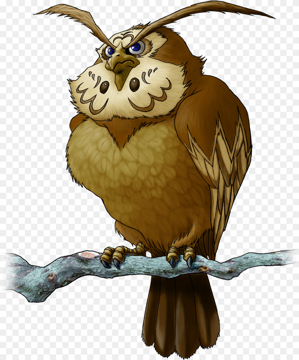Zelda Kaepora Gaebora, Animal, Beak, Bird, Face Free Png Download