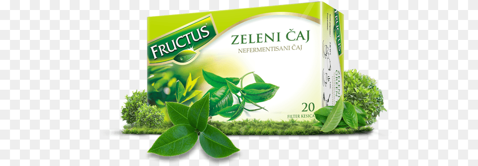Zeleni Caj Fructus, Beverage, Green Tea, Herbal, Herbs Free Png