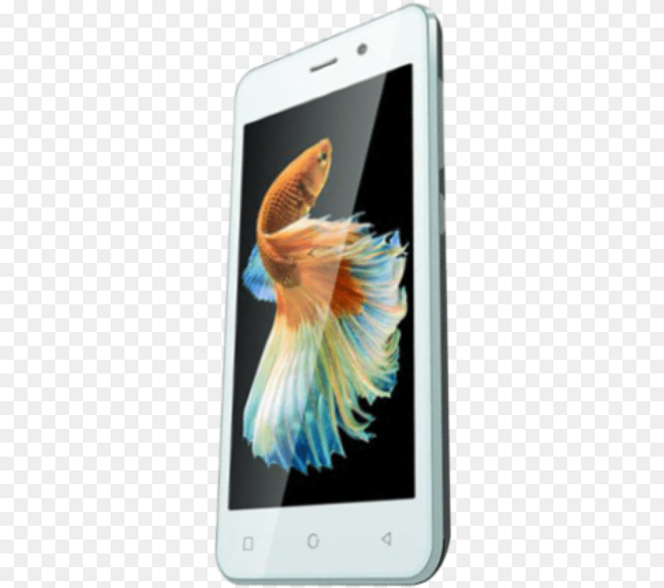 Zen Admire Thrill Macaw, Electronics, Mobile Phone, Phone, Adult Free Transparent Png