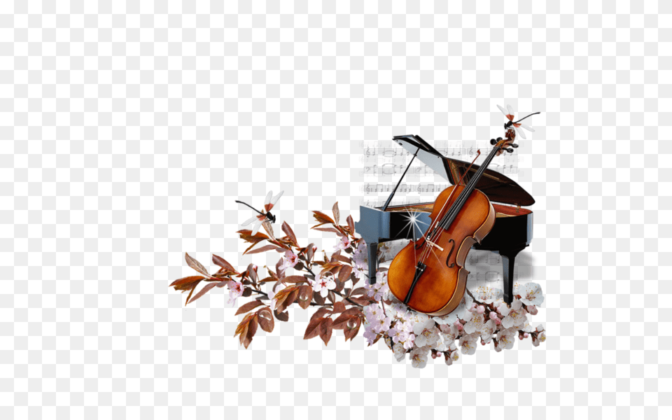 Zene Musique, Musical Instrument, Violin, Flower, Plant Png