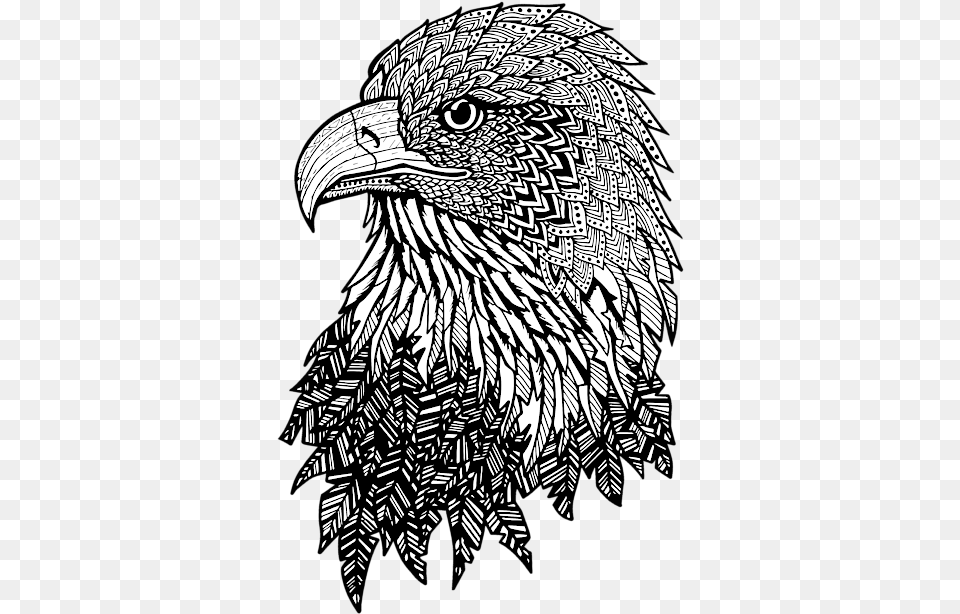Zentangle Eagle, Art, Doodle, Drawing, Animal Free Png