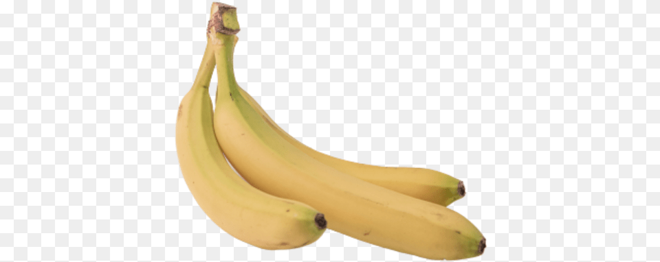 Zero Saba Banana, Food, Fruit, Plant, Produce Png Image
