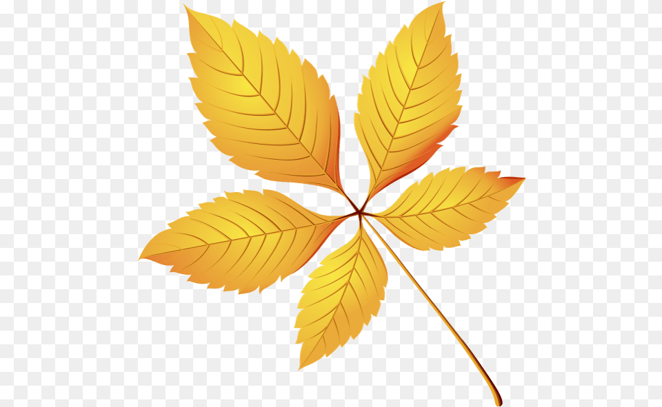 Zheltij List Osennyaya Listva Osen Yellow Leaf Autumn Chestnut Clipart Leaves, Plant, Tree Free Png