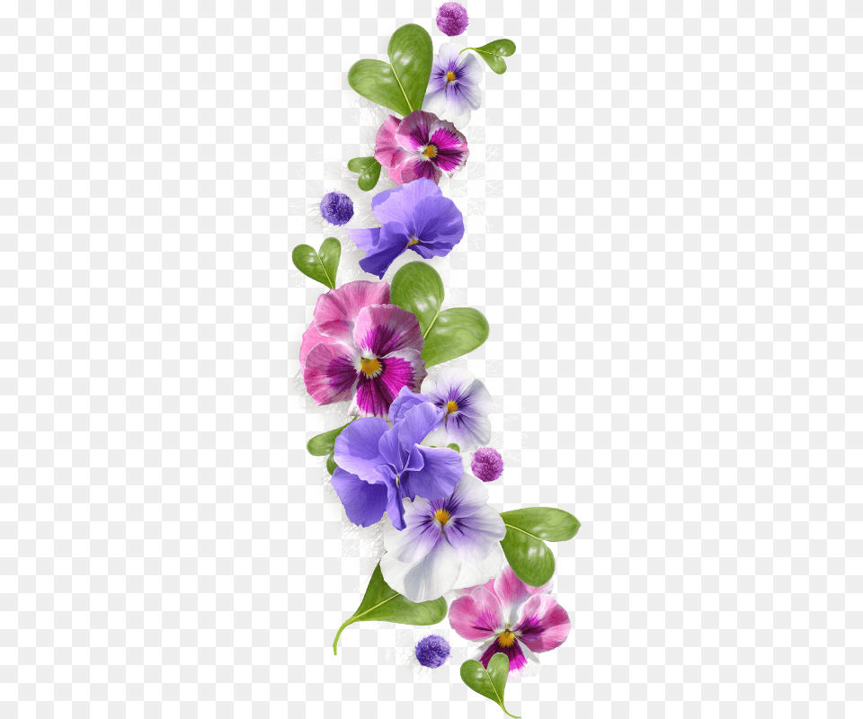 Zibi Scrap Picture Black And White Violet Flower Border Clip Art, Flower Arrangement, Plant, Geranium, Purple Free Png