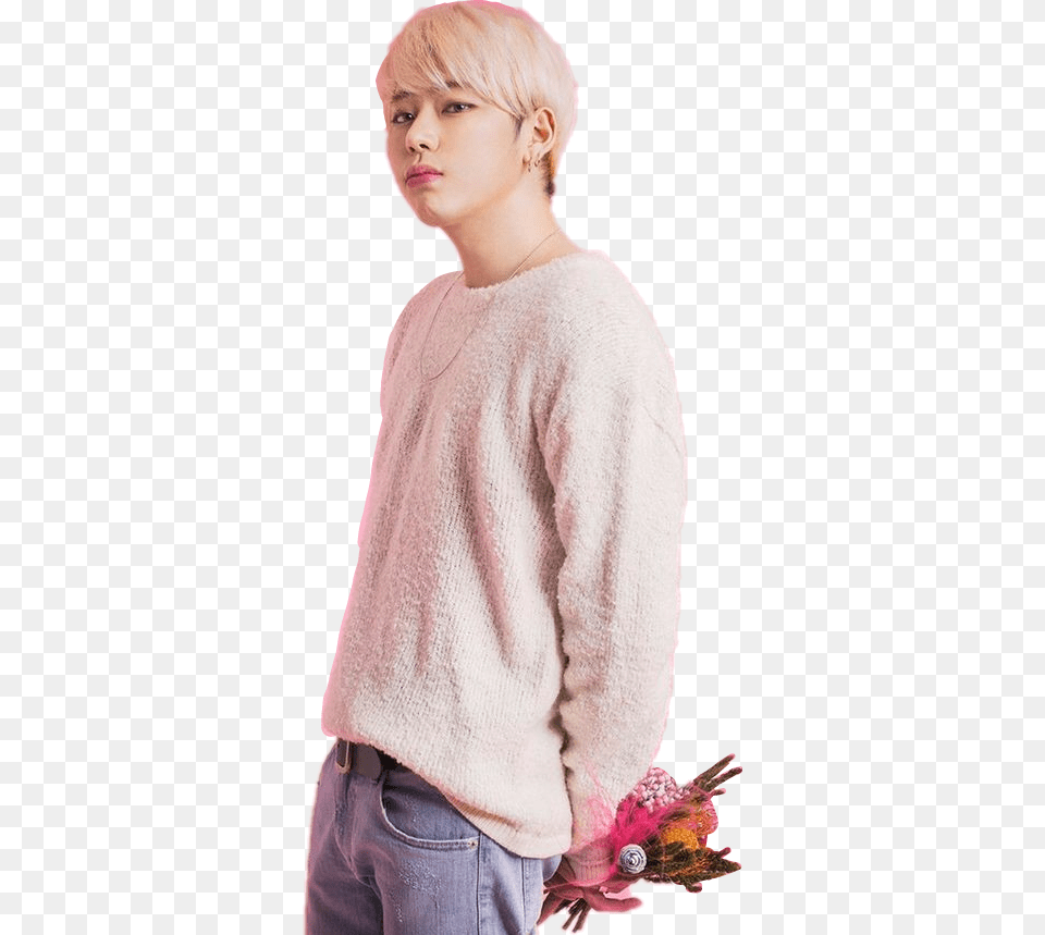 Zico Block Woo Jiho Woojiho Zico Block B Pink, Clothing, Knitwear, Sweater, Person Png