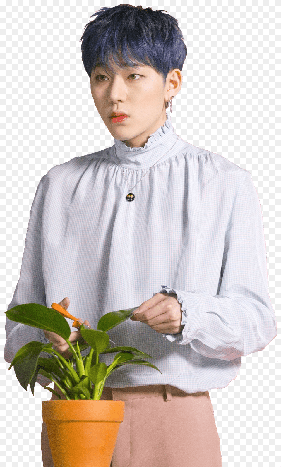 Zico Kpop Kpopidol Kpopsticker Pink Zico, Plant, Flower, Flower Arrangement, Flower Bouquet Free Png