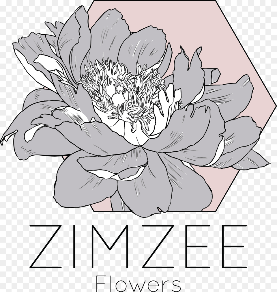 Zimzee U2013 Flowers Chrysanths, Art, Dahlia, Flower, Plant Png