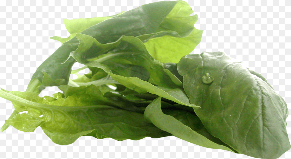 Zinc Vegan, Food, Plant, Produce, Leafy Green Vegetable Free Png Download