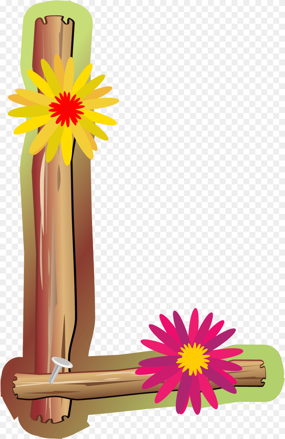 Zinnia, Daisy, Flower, Plant, Anther Free Transparent Png