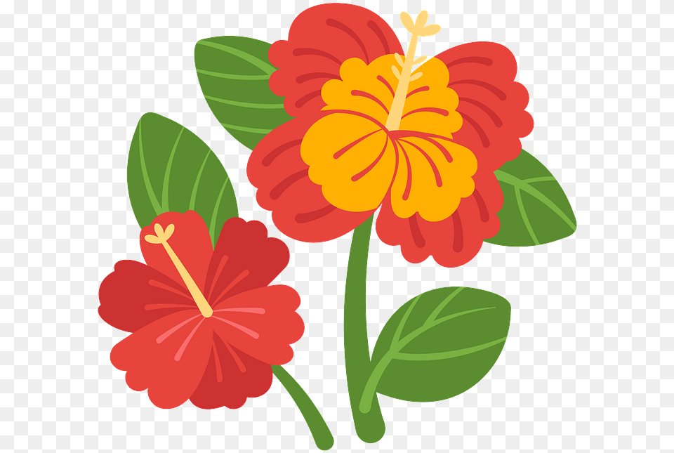 Zinnia Angustifolia, Flower, Hibiscus, Plant, Anther Free Transparent Png